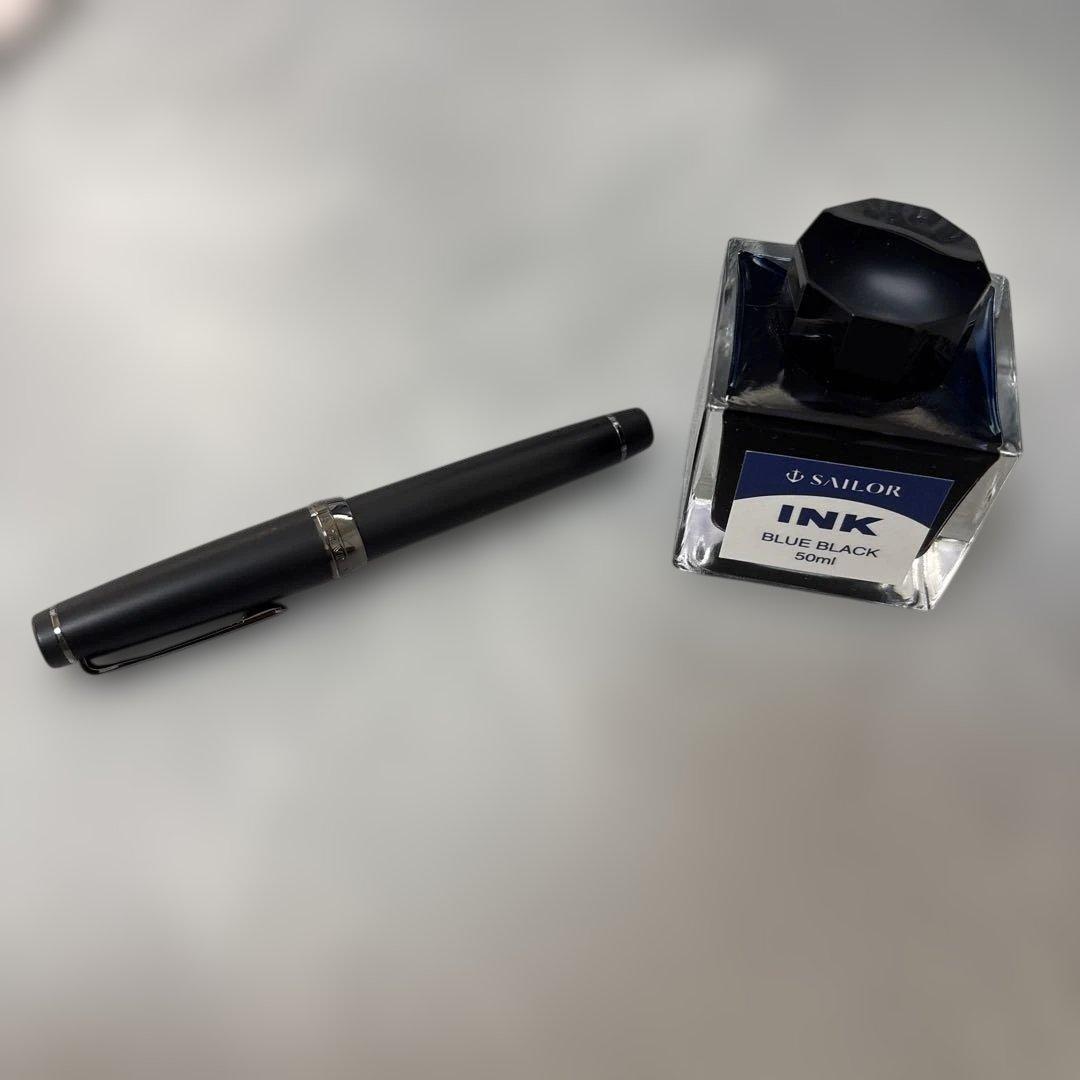 プラチナ万年筆 SN-800 ソフトペン 旧型