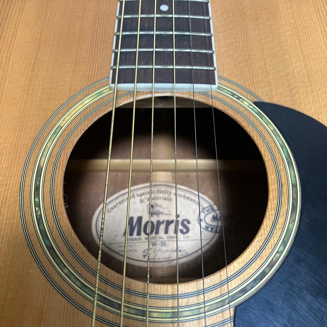 Morris アコースティックギター W-30