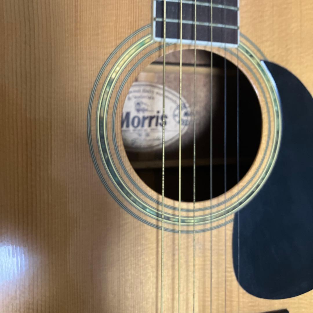 Morris アコースティックギター W-30