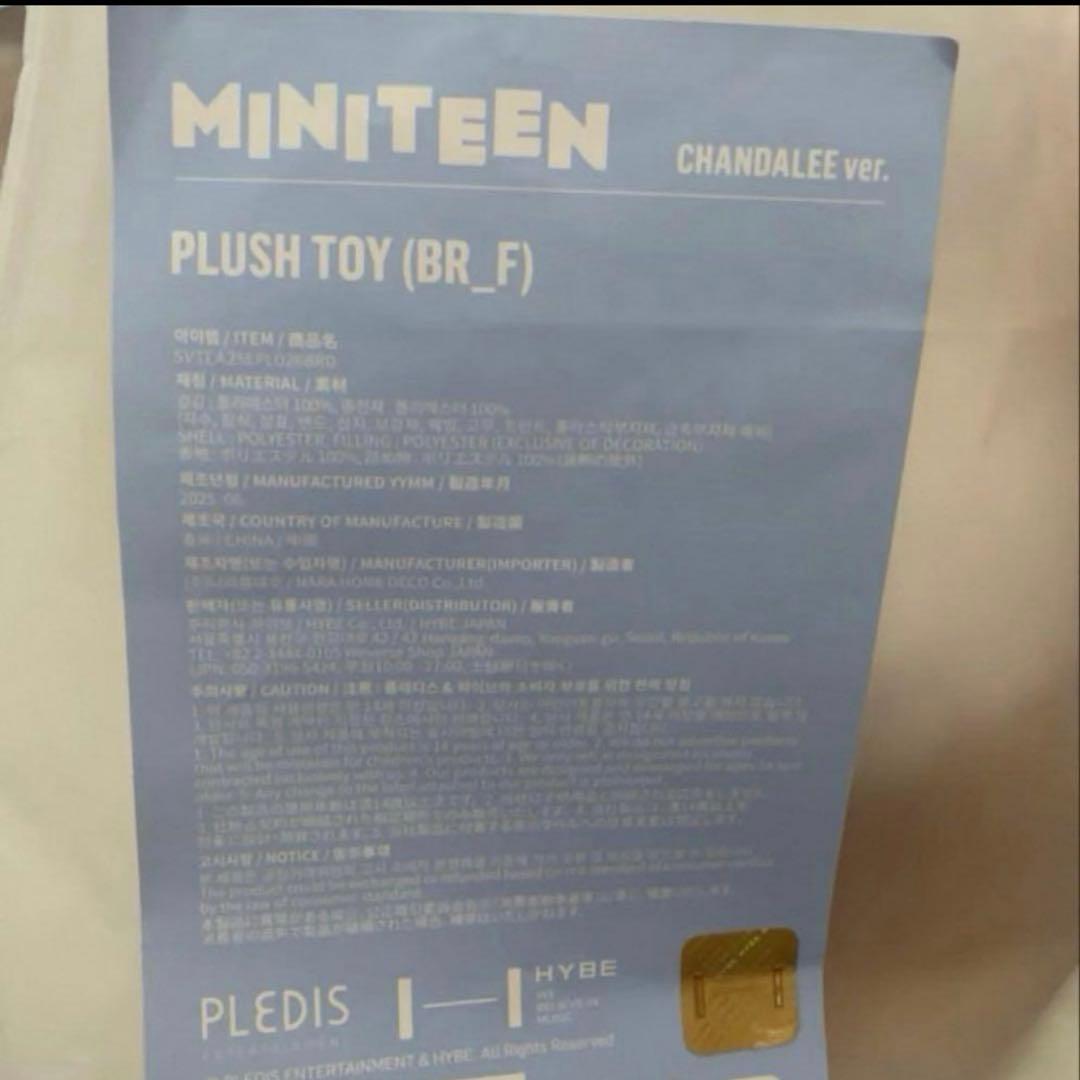 miniteen ミニティーン DINO ディノ セブチ