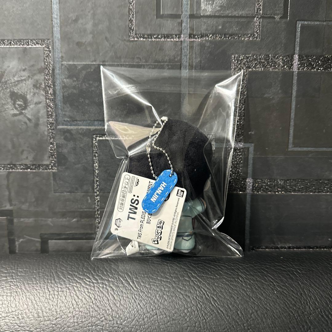 HANJIN ハンジン TWS ちびぐるみ vol.1 トゥアス ナムコ限定 - メルカリ