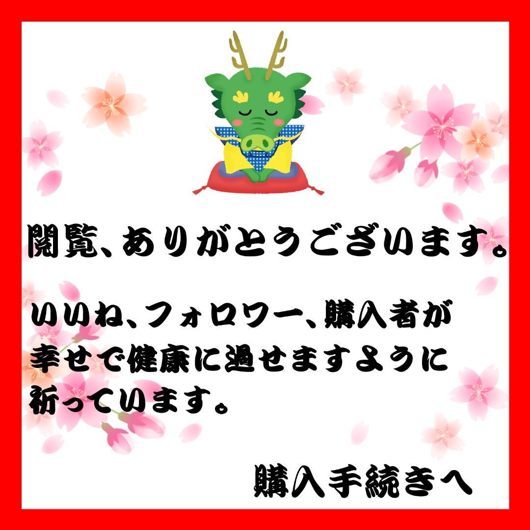 AKB48 カード 65枚セット