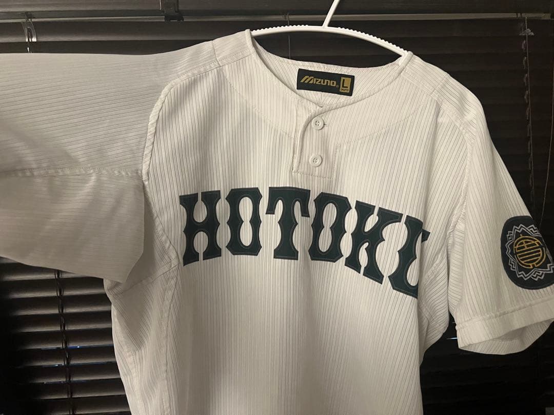 欅坂46 欅共和国2019 ナイロンフーディー L 欅坂46 L