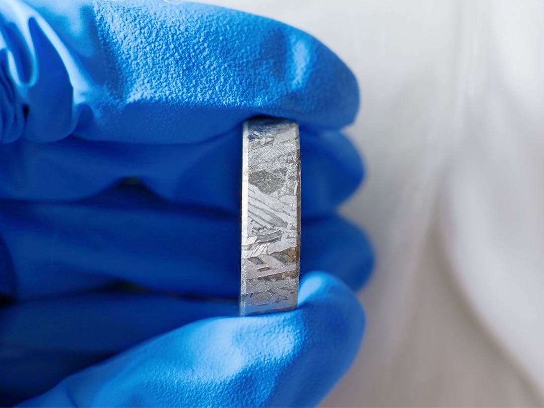 【宇宙の指輪】アルタイ隕石リング 原色　19.0mm ウィドマンシュテッテン模様