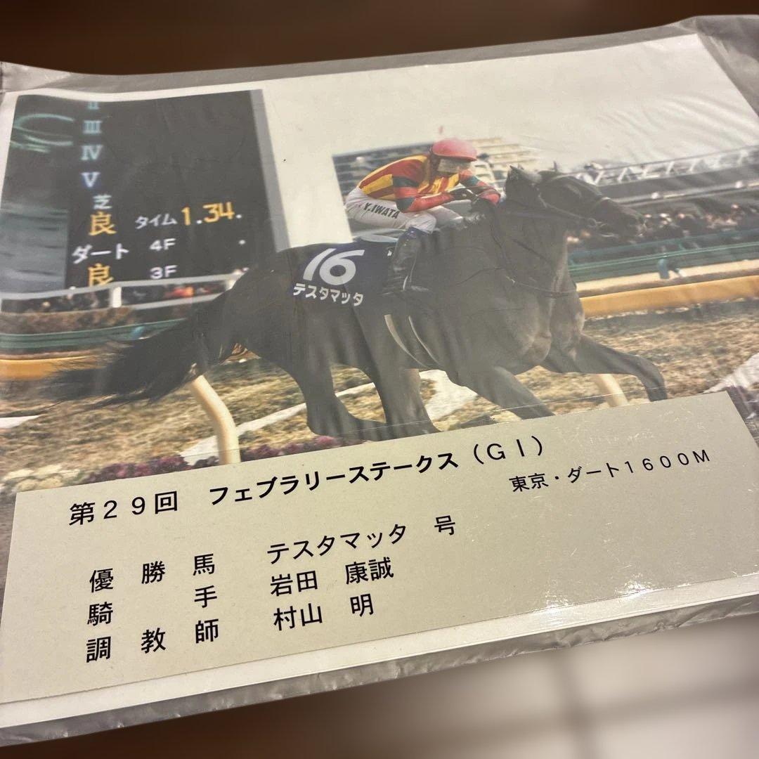 第29回フェブラリーステークス 記念印刷物　テスタマッタ