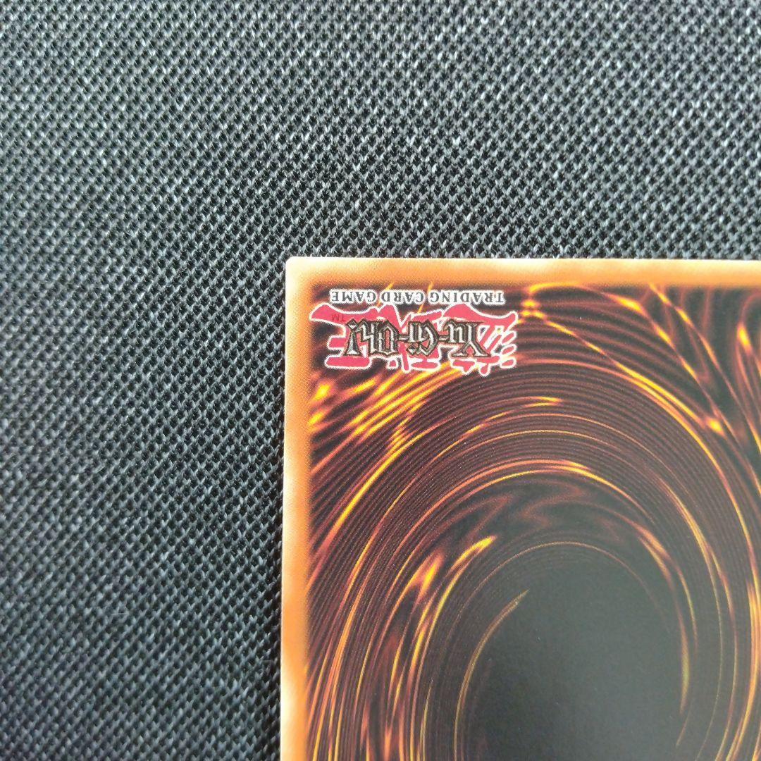 アニーさん 専用