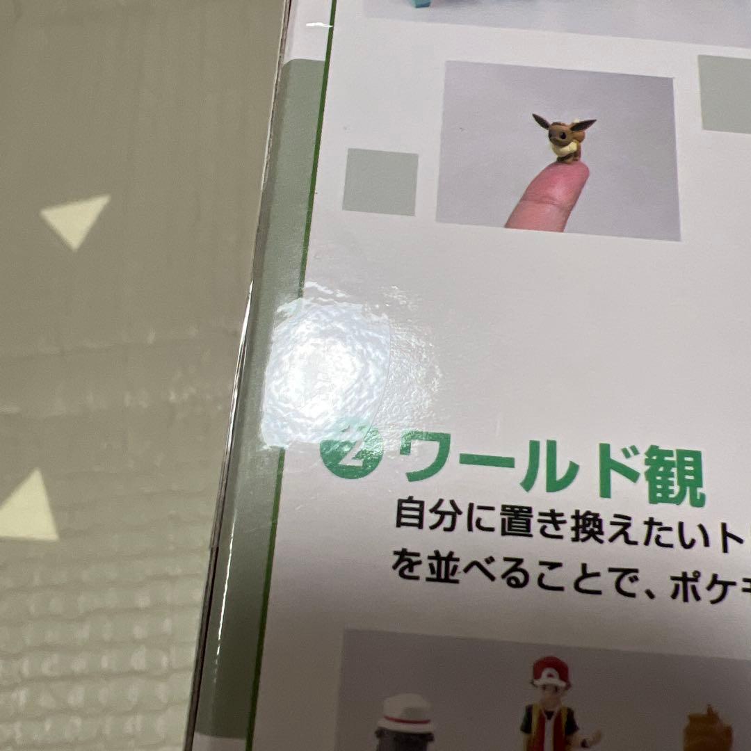 ポケモンスケールワールド(カントー地方)　タケシ&イワーク新品未開封