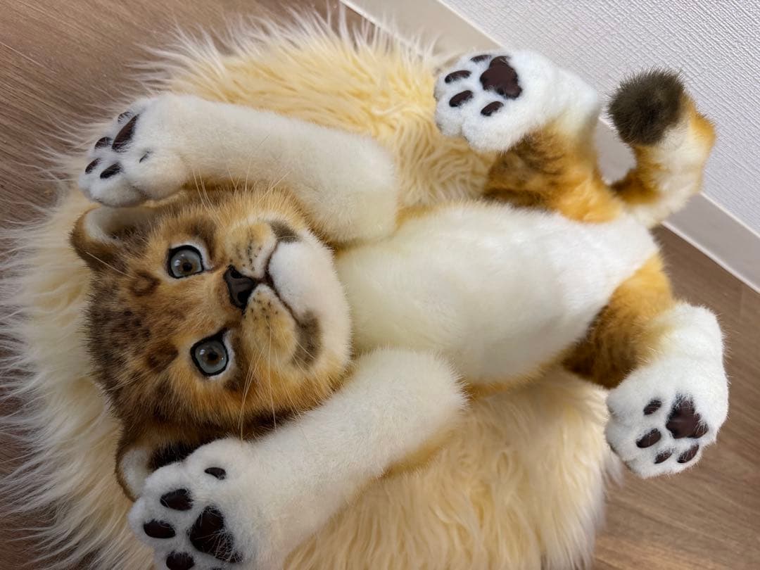 最終価格】海外作家様作 アートドール ライオンの子供 - メルカリ