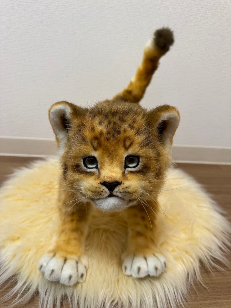 最終価格】海外作家様作 アートドール ライオンの子供 - メルカリ