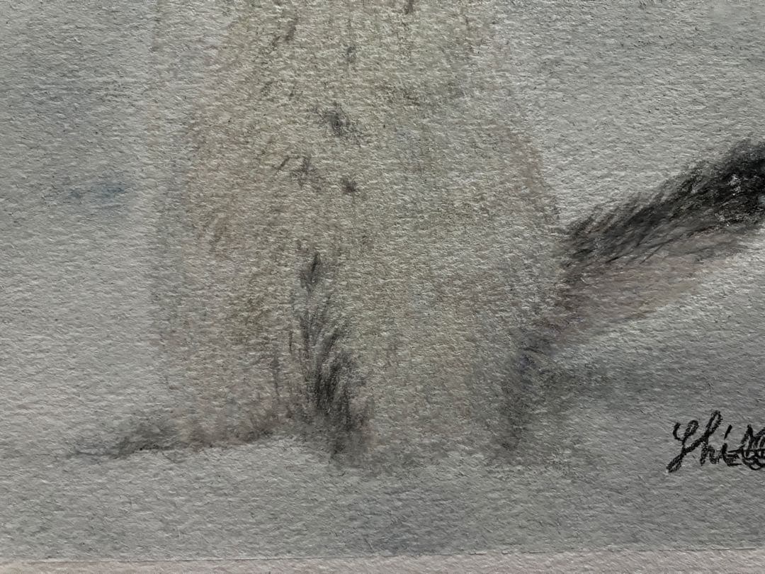 雪だぁ‼︎” 色鉛筆画 パステル