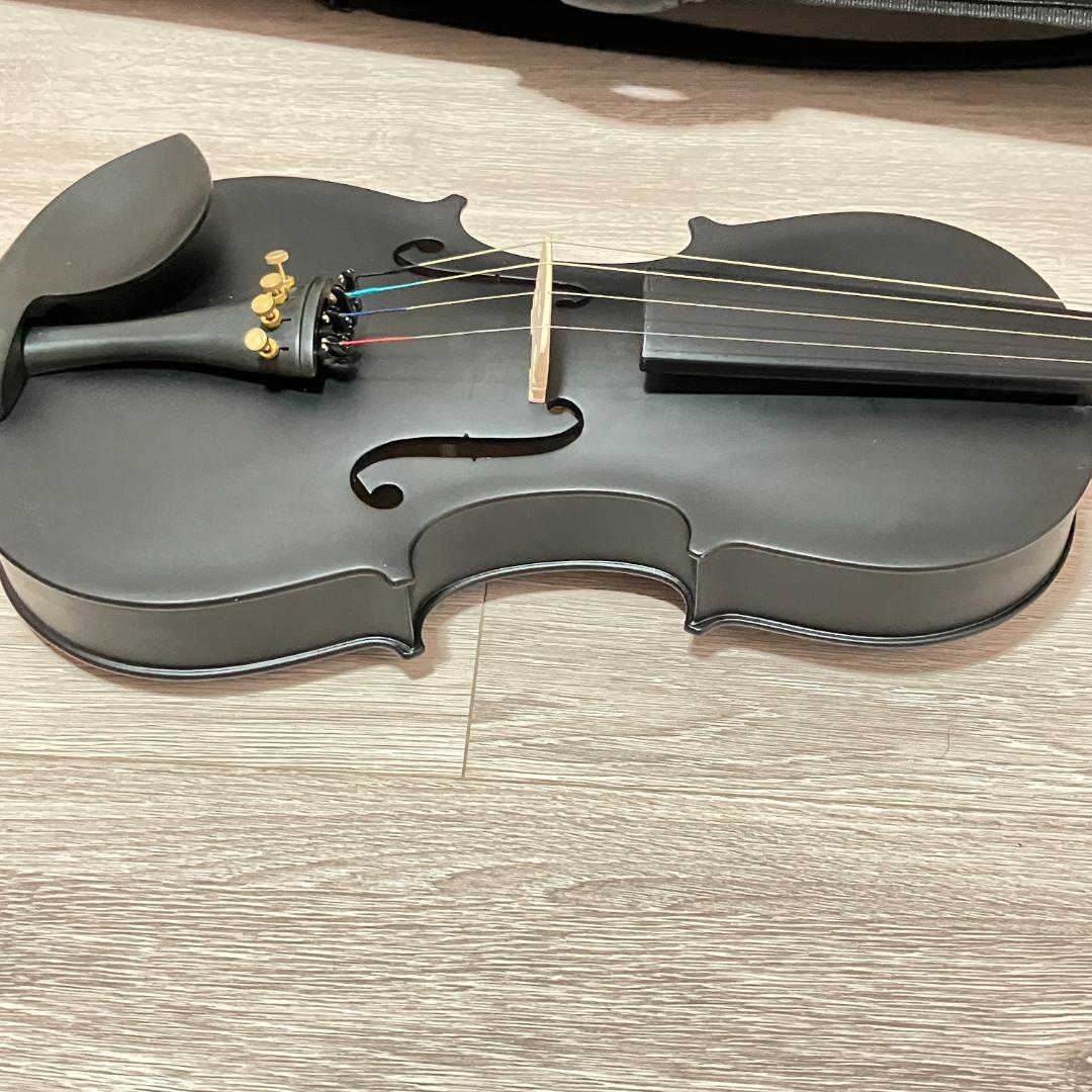 バイオリン Hallstatt V-12 BK 4/4 ケース付属 初心者向け