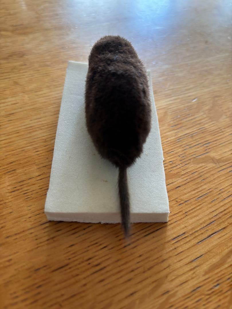 モグラさま専用】ヒミズ 骨格標本頭骨と剥製