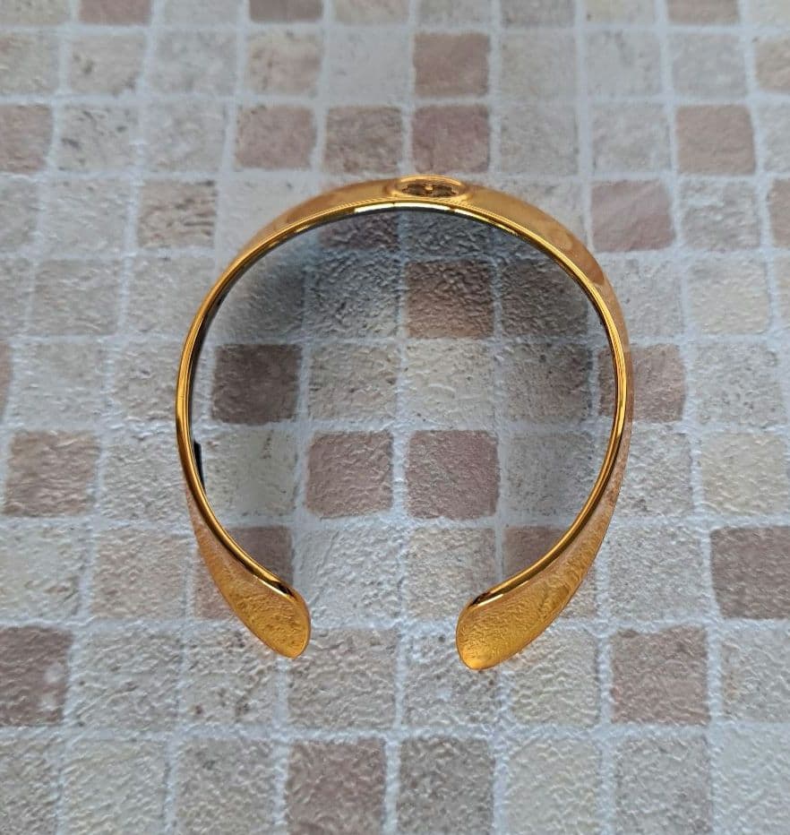 aiboプレミアムプラン２０１９～２０２０年　限定品　ゴールド首輪