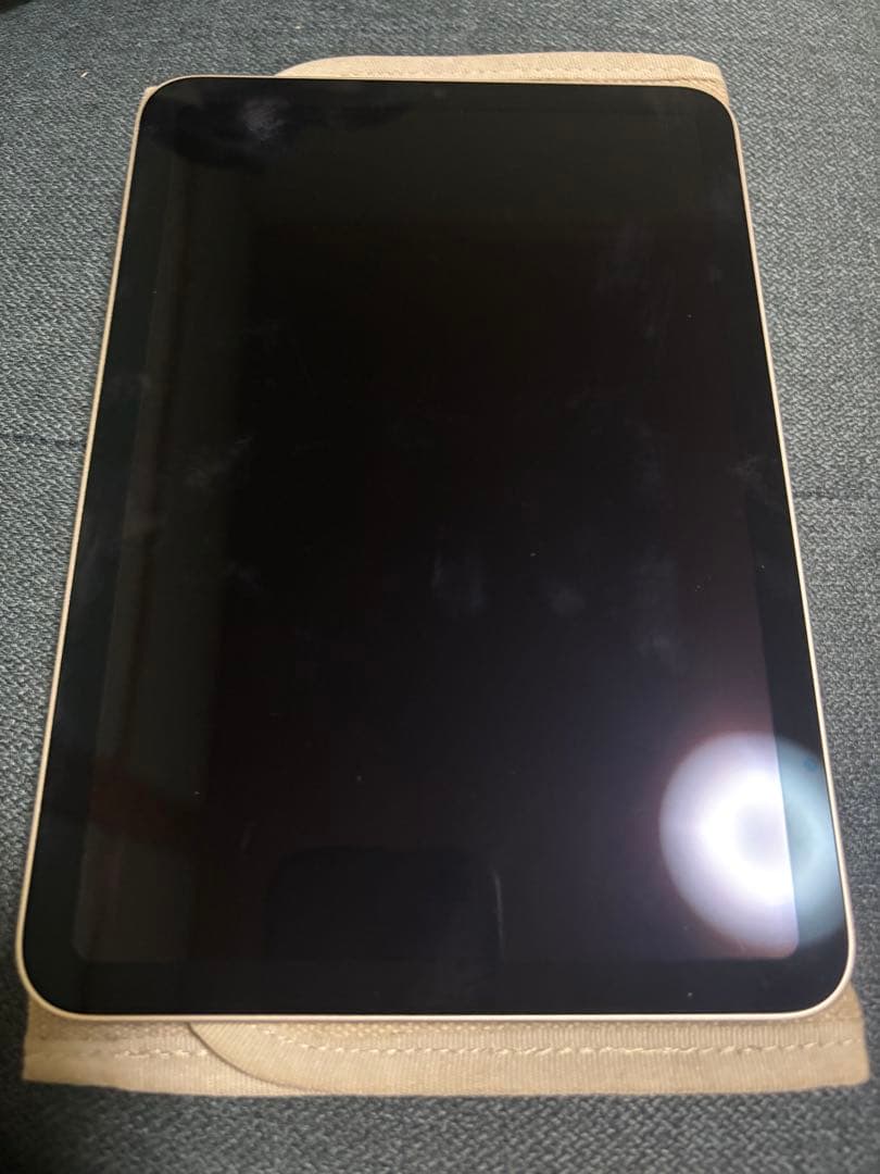 し あ様 iPad mini 6 第6世代 金色256GB最大容量94 iPad本体