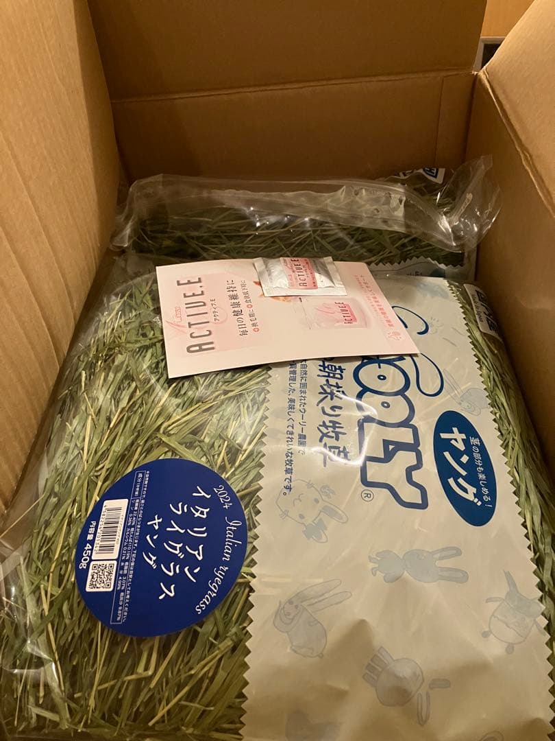 ウーリー　高原の朝採り牧草　イタリアンライグラス2024　ヤング×4 ウーリー 高原の朝採り牧草 イタリアンライグラス2024 ヤング×4