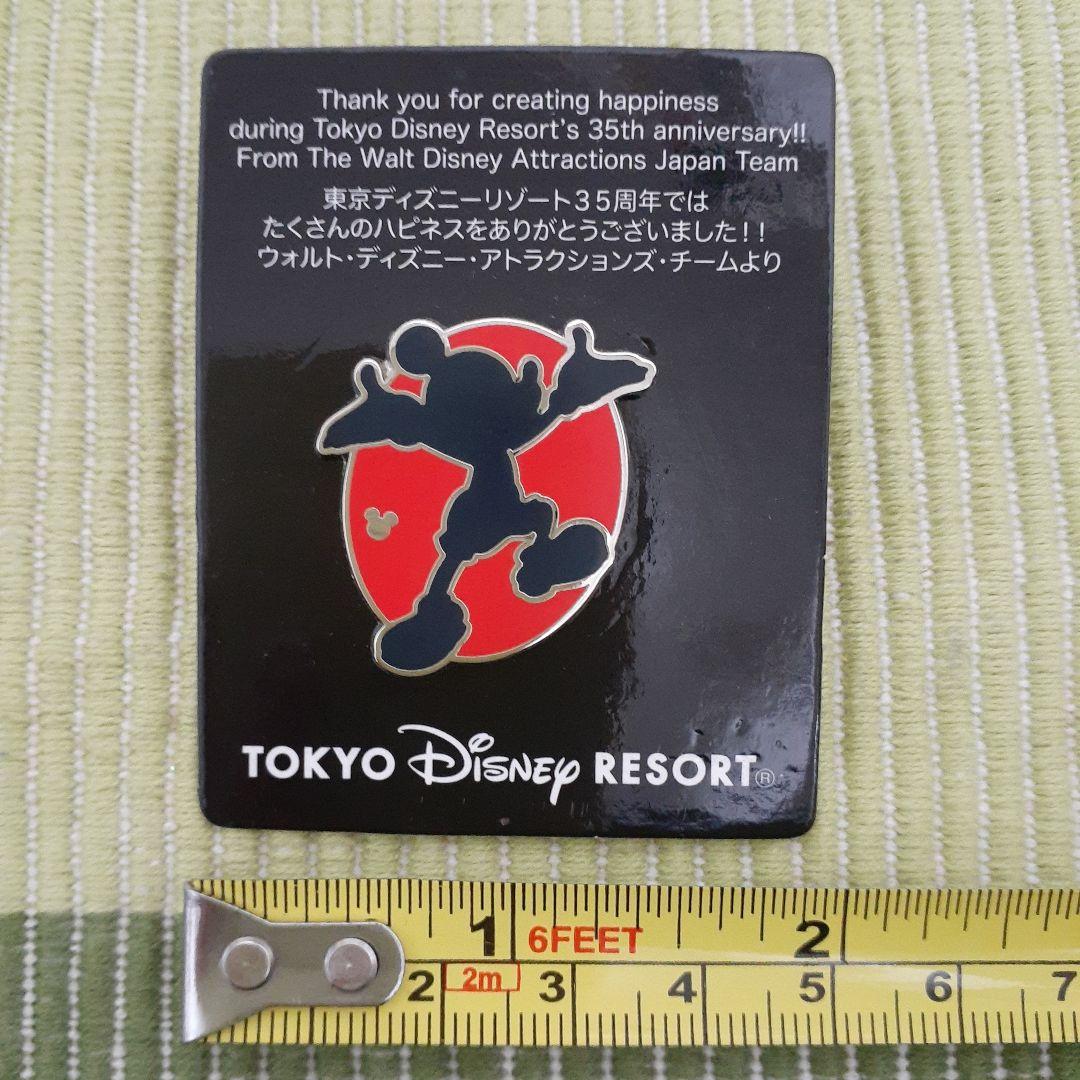 ディズニー　ピンバッジ　35周年　アトラクション　キャスト　ミッキー　限定　レア