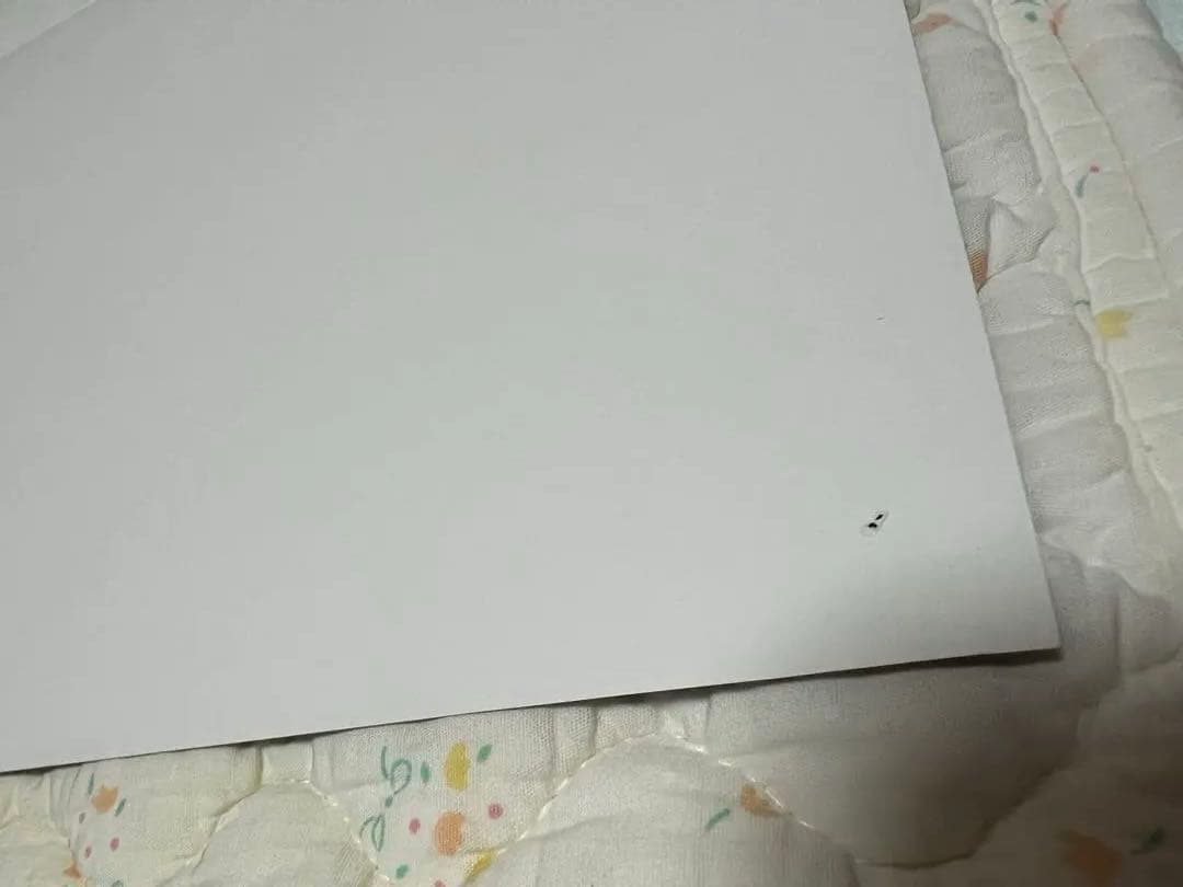 福井利佐の展覧会ポスター、新聞まとめて