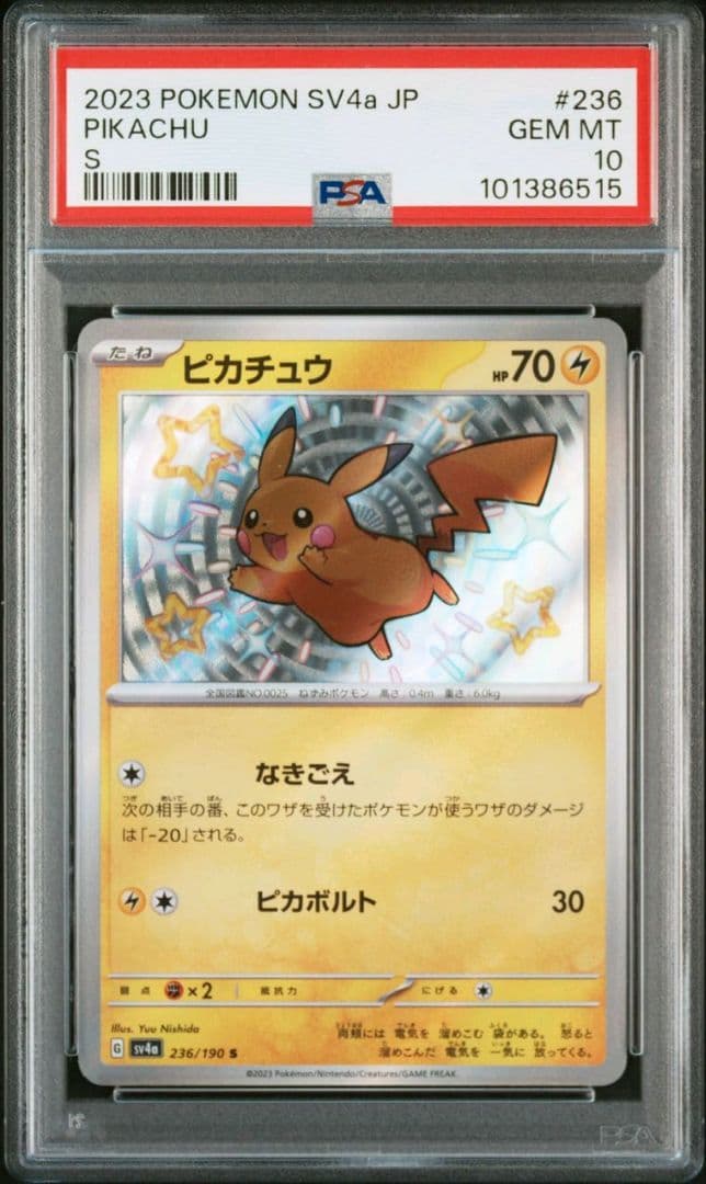 psa10】パラダイスリゾート 2023 ポルトガル語