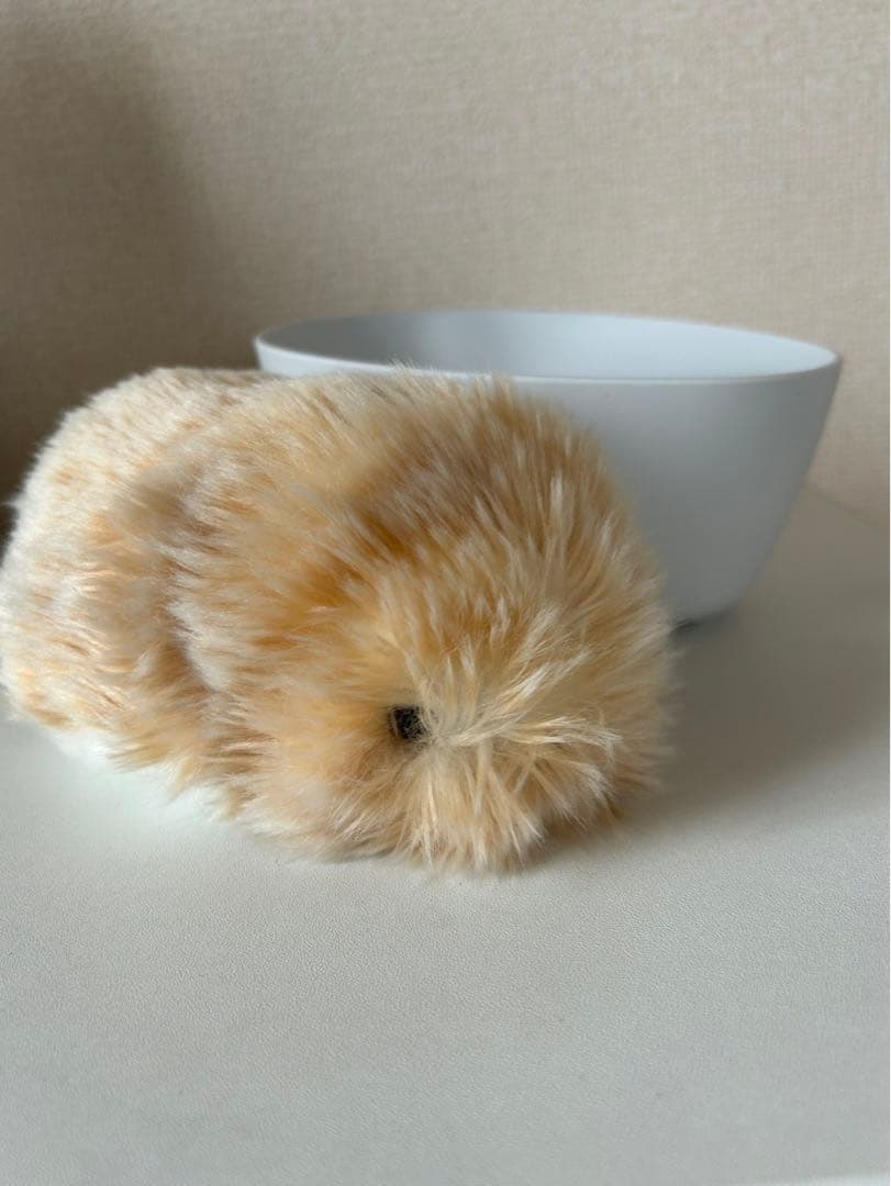 モフリン　moflin CACIO