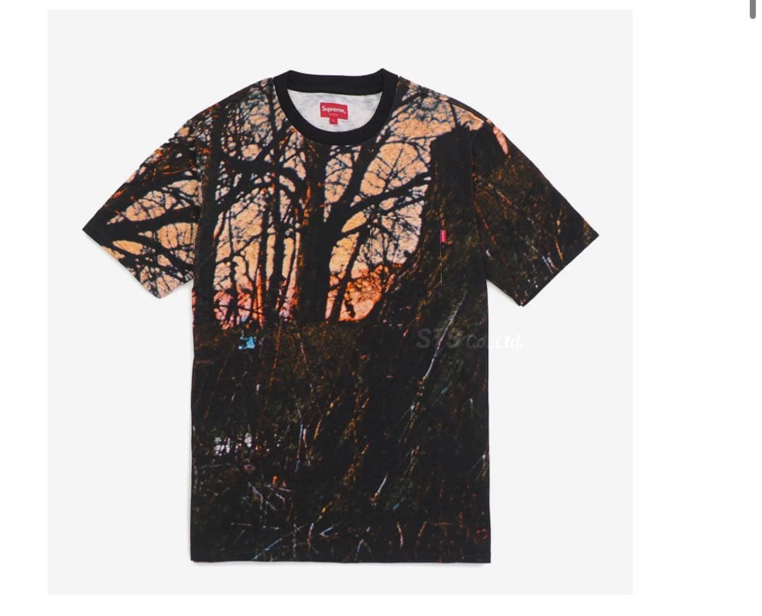 シュプリーム リアルツリー 人気のL 入手困難 半袖Tシャツ - メルカリ