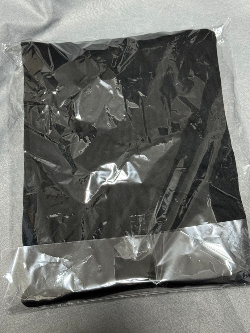 RADIO CRAZY 2025 万博 コラボ ロンT 2XL 新品 グッズ