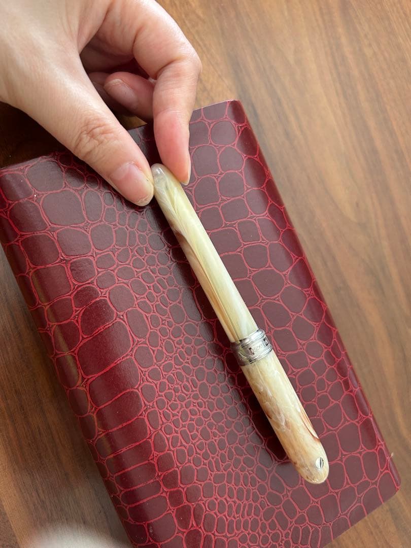 VISCONTI ビスコンティ ボールペン ヴァン・ゴッホ バニラ