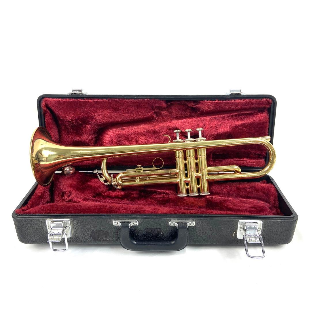 Landgraff DOD系 MOD ヴィンテージスイッチmod 2sw