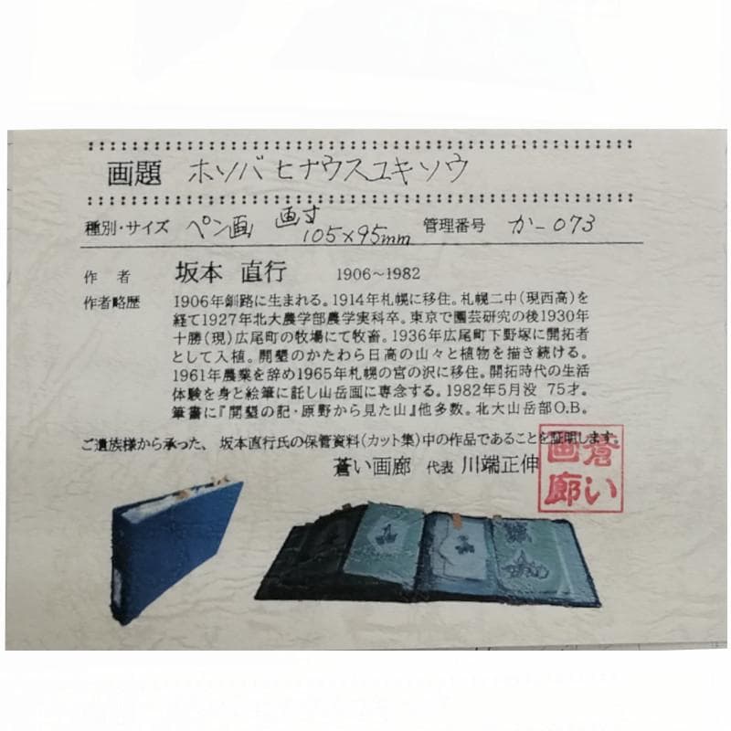 ☆坂本直行☆「 ホソバヒナウスユキソウ 」ペン画 インチサイズ 未使用！