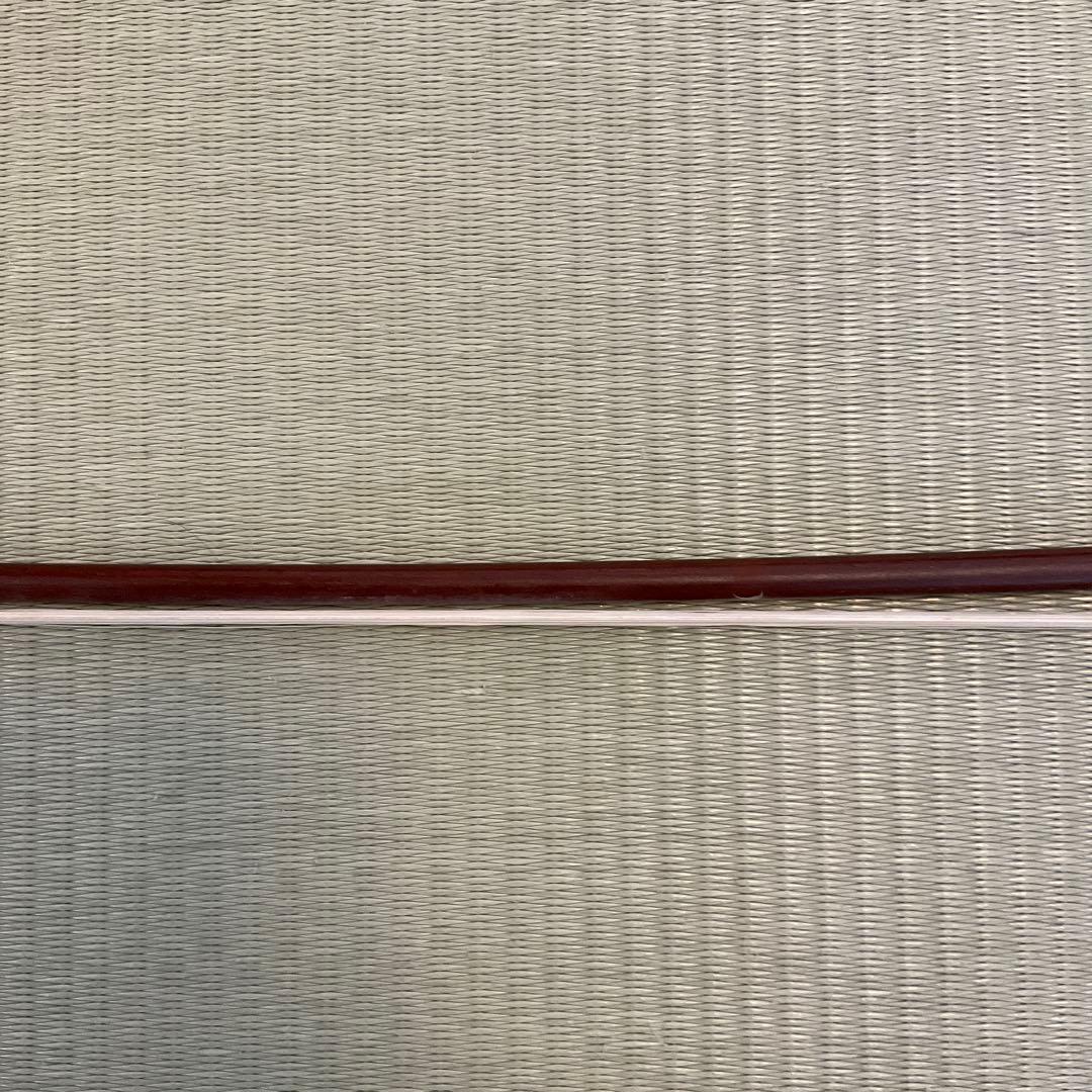 バイオリン カルロジョルダーノ サイズ3/4