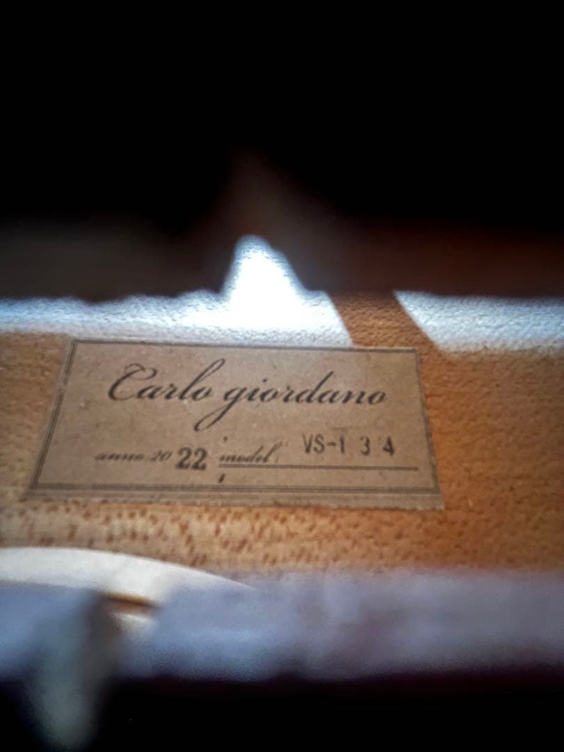 バイオリン カルロジョルダーノ サイズ3/4