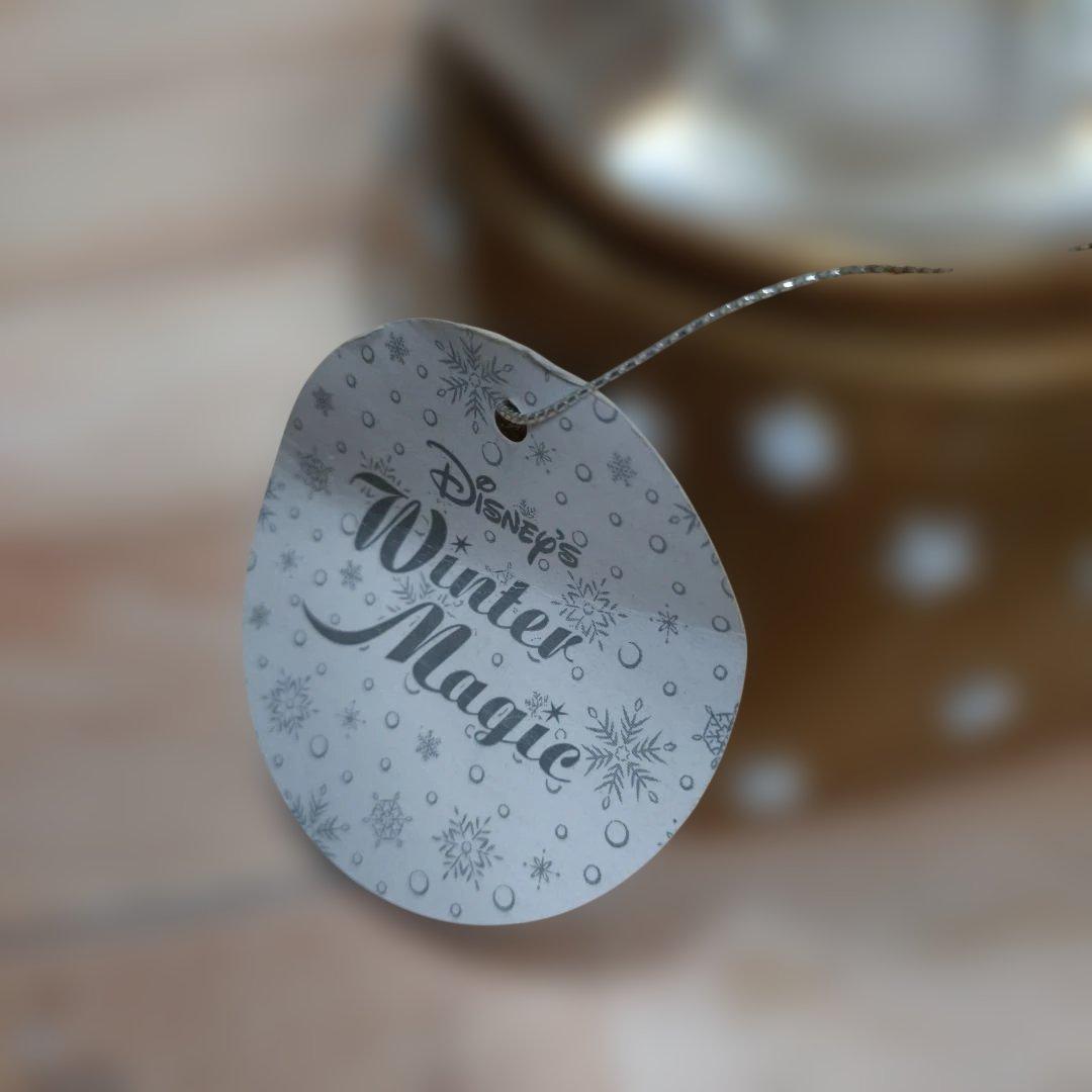 ディズニー くまのプーさん　光るガラスドーム　ティガー&ルー　スノードーム　2点