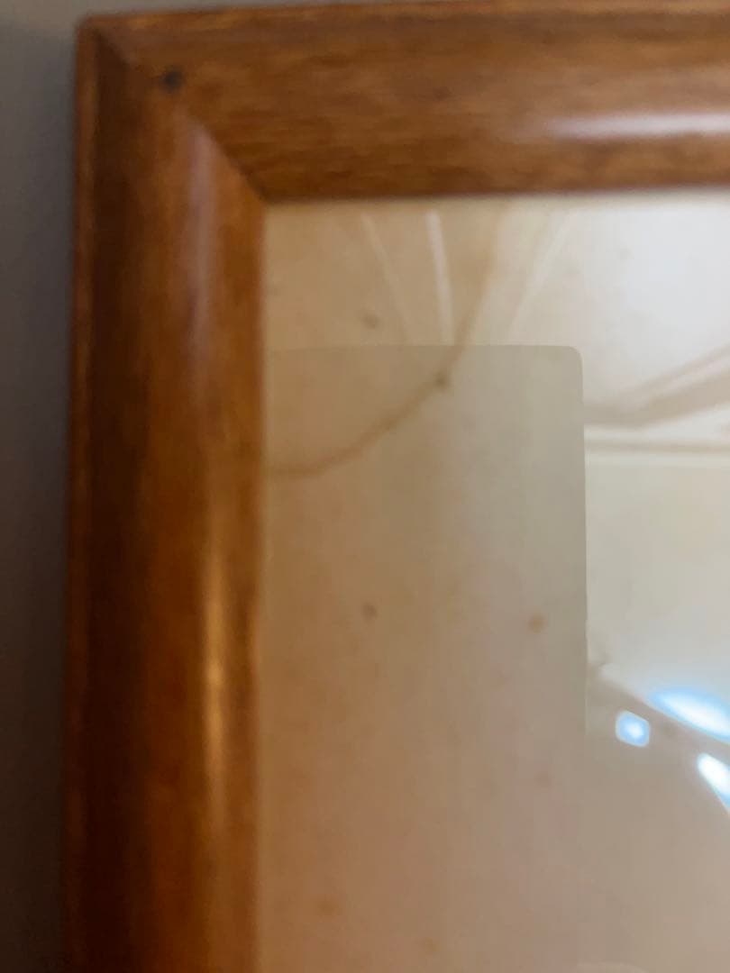 若大将加山雄三直筆サイン色紙