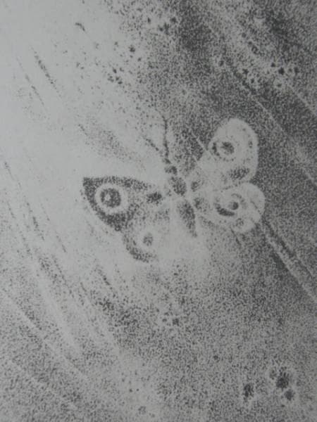 岡鹿之助、蛾、素描目録、限定400部、サイン入り、新品額装