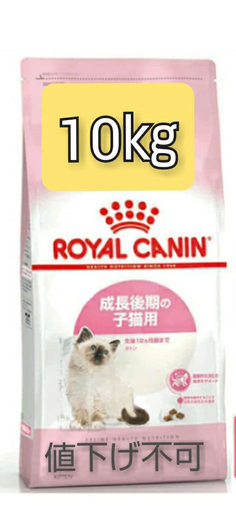 注文 ロイヤルカナン キトン10㎏ ロイヤルカナン FHN キトン 子猫用