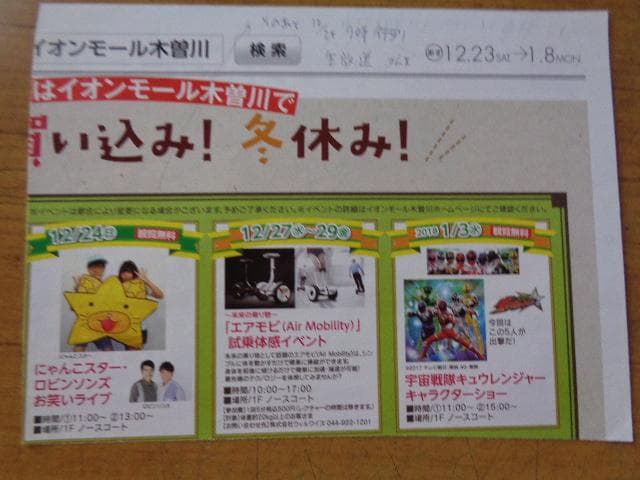 武井　咲、にゃんこスター