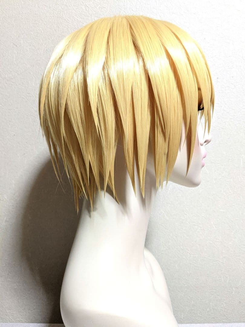 【ネット付】✥クラピカ ウィッグ✥セット済 HUNTER×HUNTE