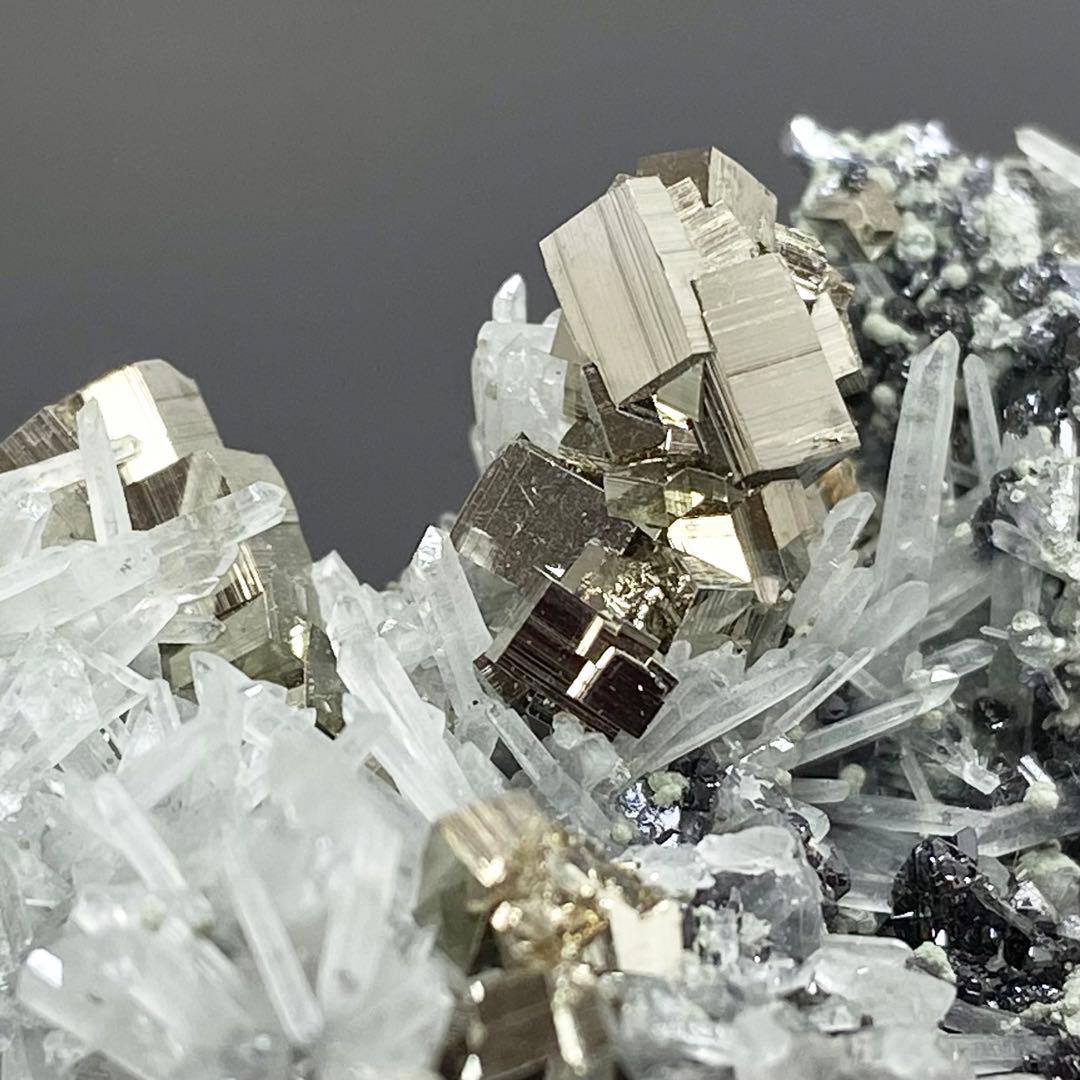 ラブラドール・レトリバー 壁掛け イングランド製 ドマン Domain