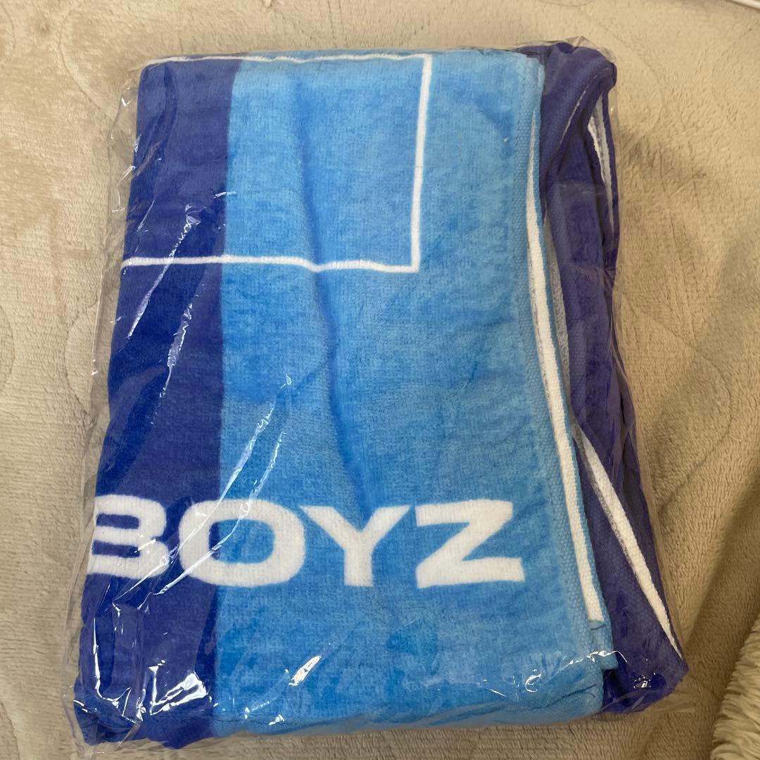 MALLBOYZ タオル 2025年最新】mall boyz タオルの人気アイテム - メルカリ