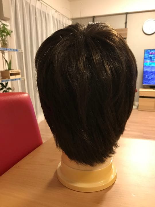 ウィッグ（人毛）12万円　ネット付き（未使用）