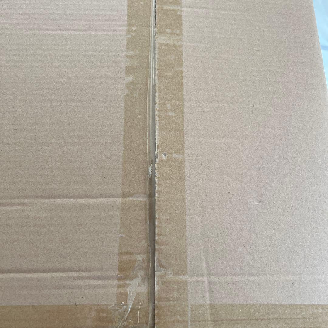 SHIBUYA SCRAMBLE FIGURE 白の女王