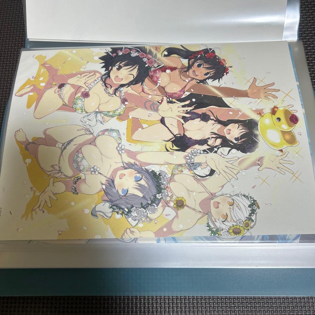 閃乱カグラ ポートレート 6枚セット