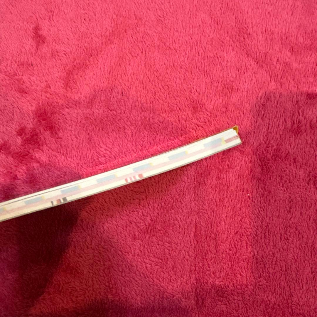 当時物 メモ帳 こぱむだ 風水にゃんこ 希少 平成レトロ 平成女児 y2k