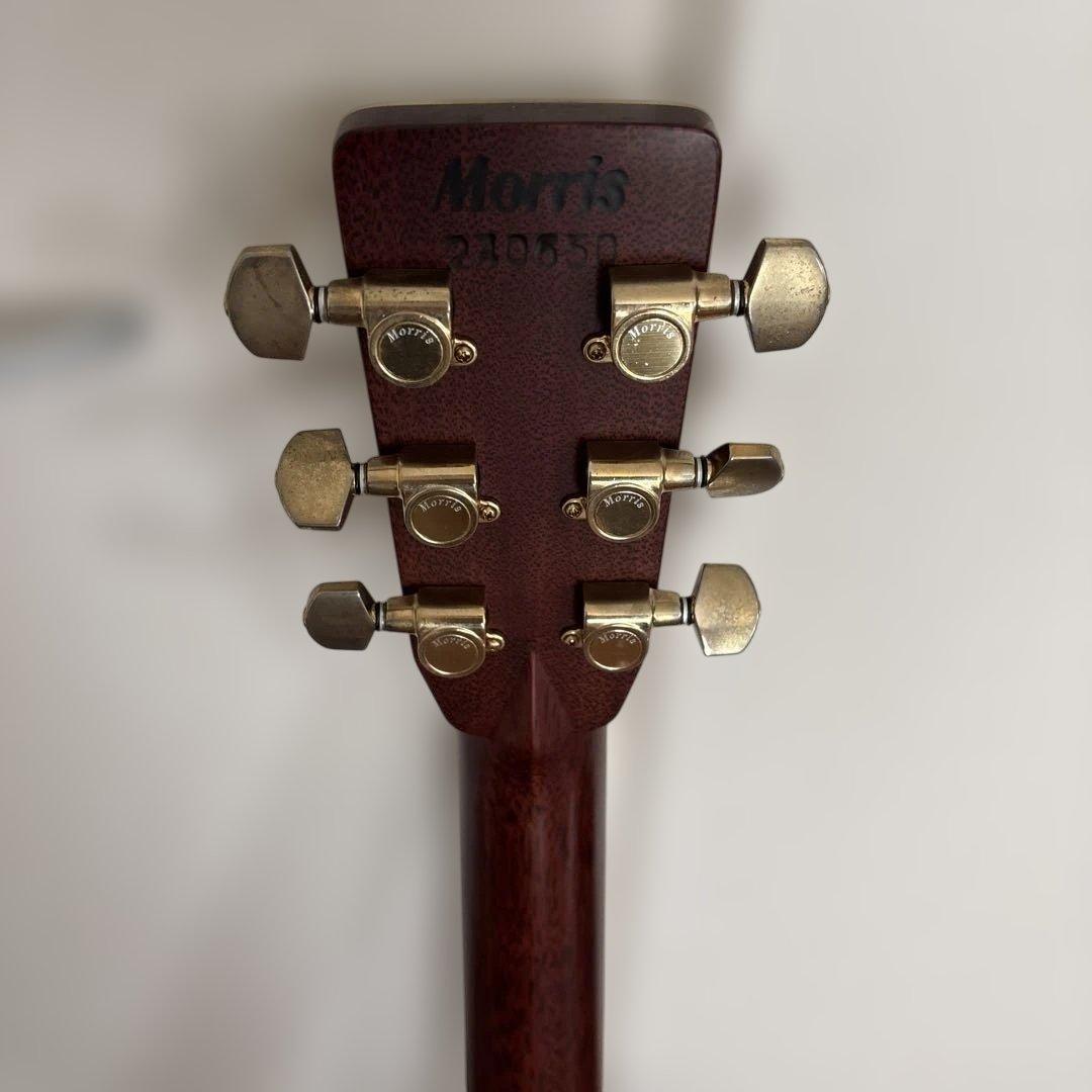Morris アコースティックギター スプルース