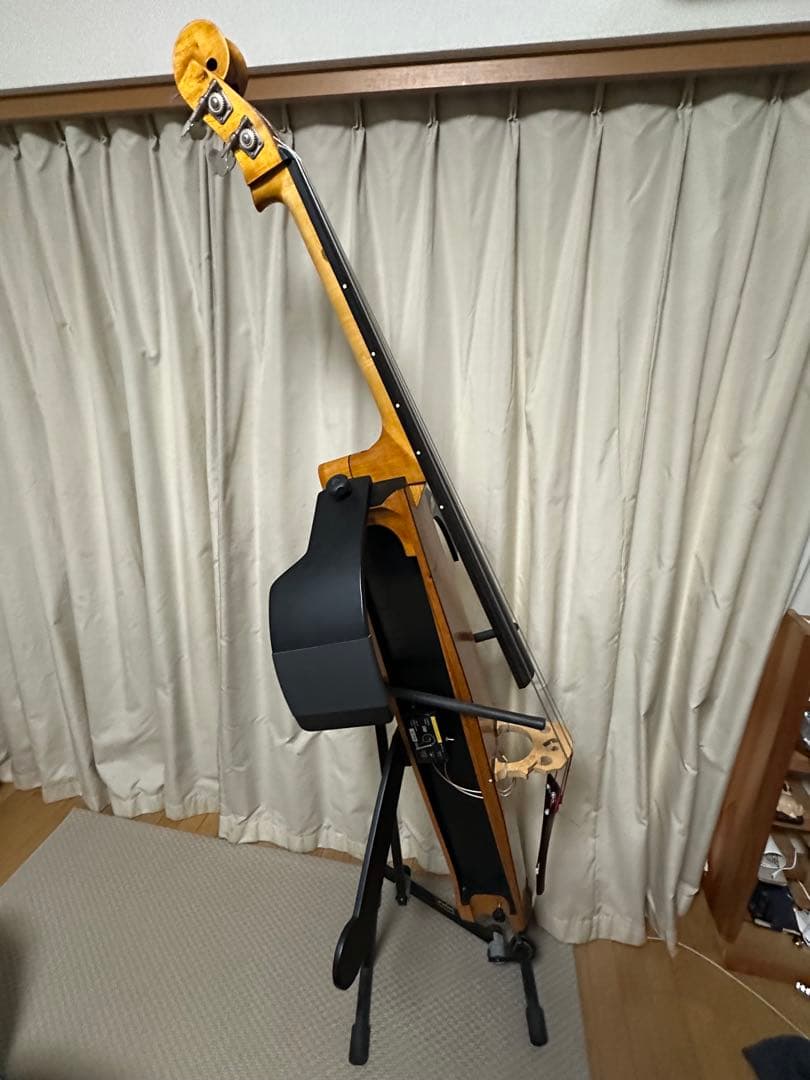 弦楽器 Alter Ego Figaro K Equipment