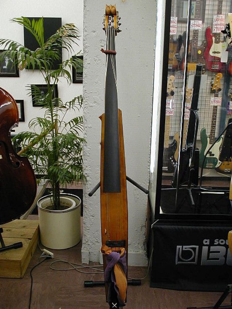 弦楽器 Alter Ego Figaro K Equipment