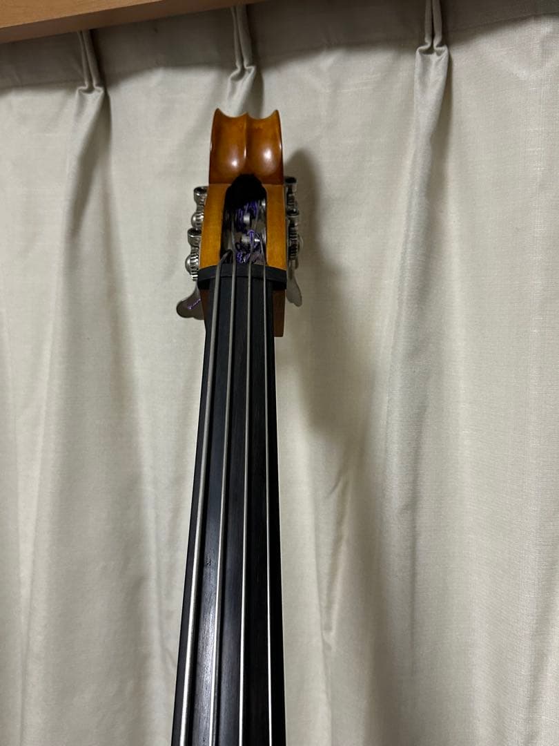 弦楽器 Alter Ego Figaro K Equipment