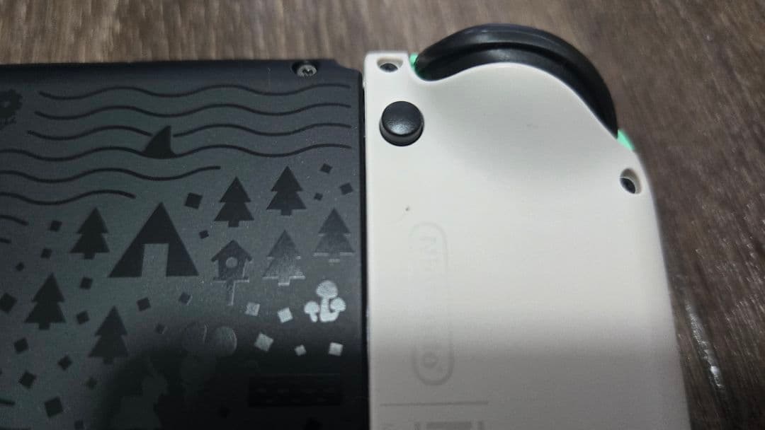 Nintendo Switch あつまれ どうぶつの森セット 本体