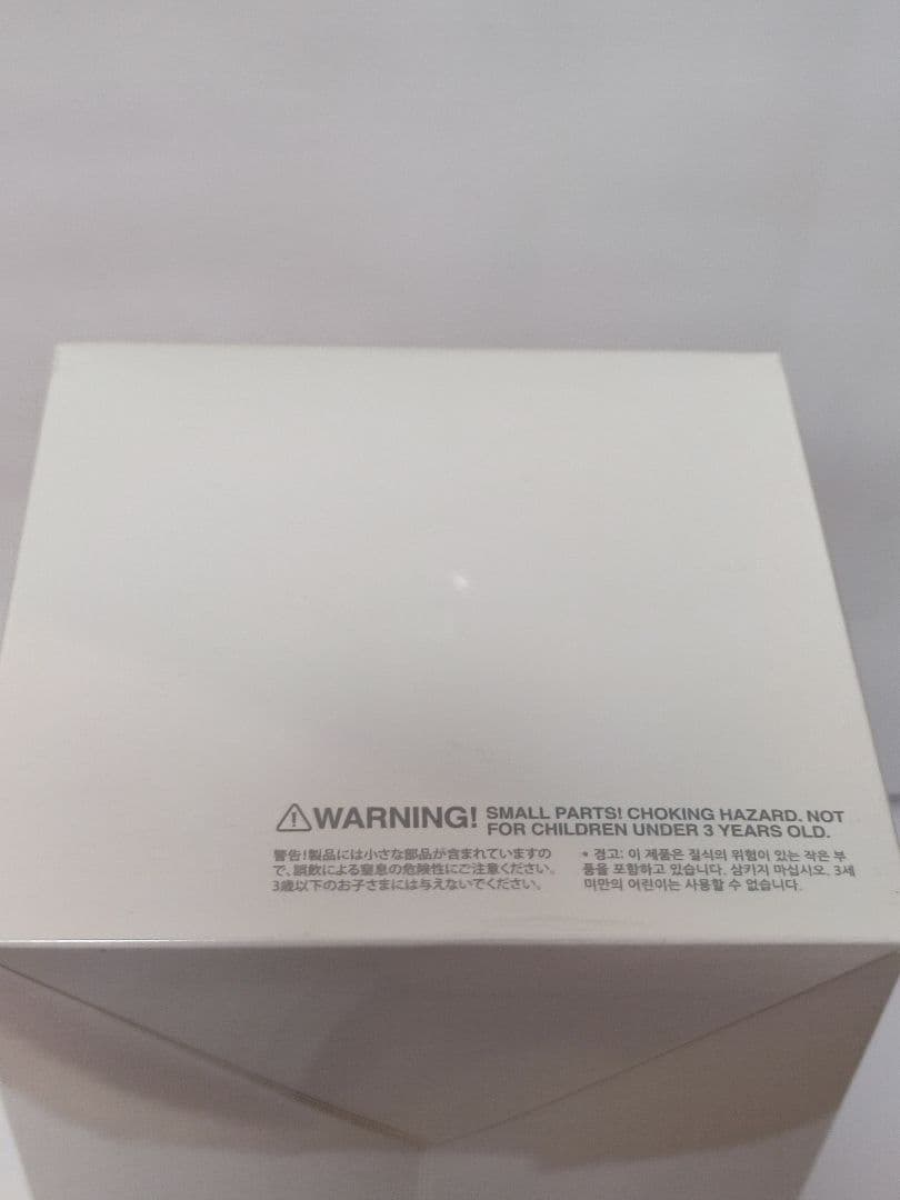 未開封・正規品　ラブブ Big into Energy アソートボックス 5個