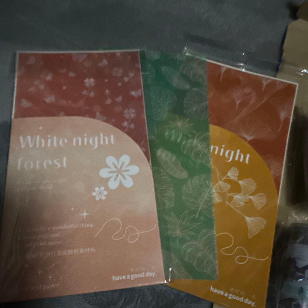 海外マステ・まとめ売り・男性マステ中心・12ロール＋オマケ