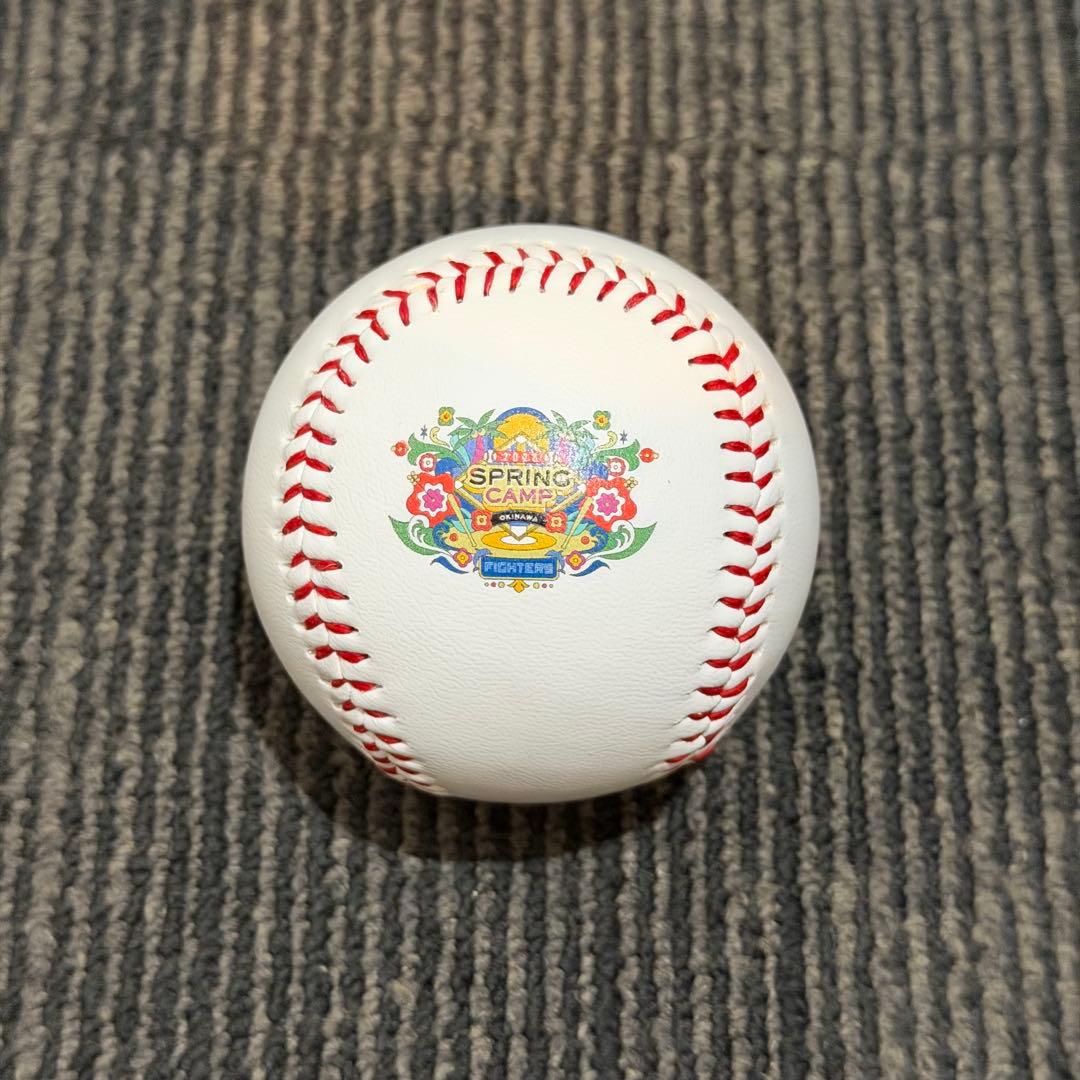 北海道日本ハムファイターズ 伊藤大海 直筆サインボール 沖縄キャンプ